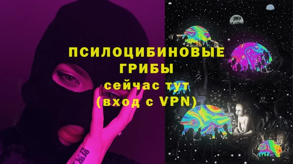 гидропоника Арсеньев