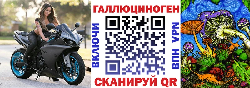 Псилоцибиновые грибы GOLDEN TEACHER  Купить где  Славск 
